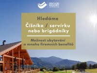 Read more: Hledáme číšníka/servírku!