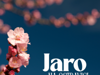 Číst dál: 11.4. VÍTÁNÍ JARA S DJ